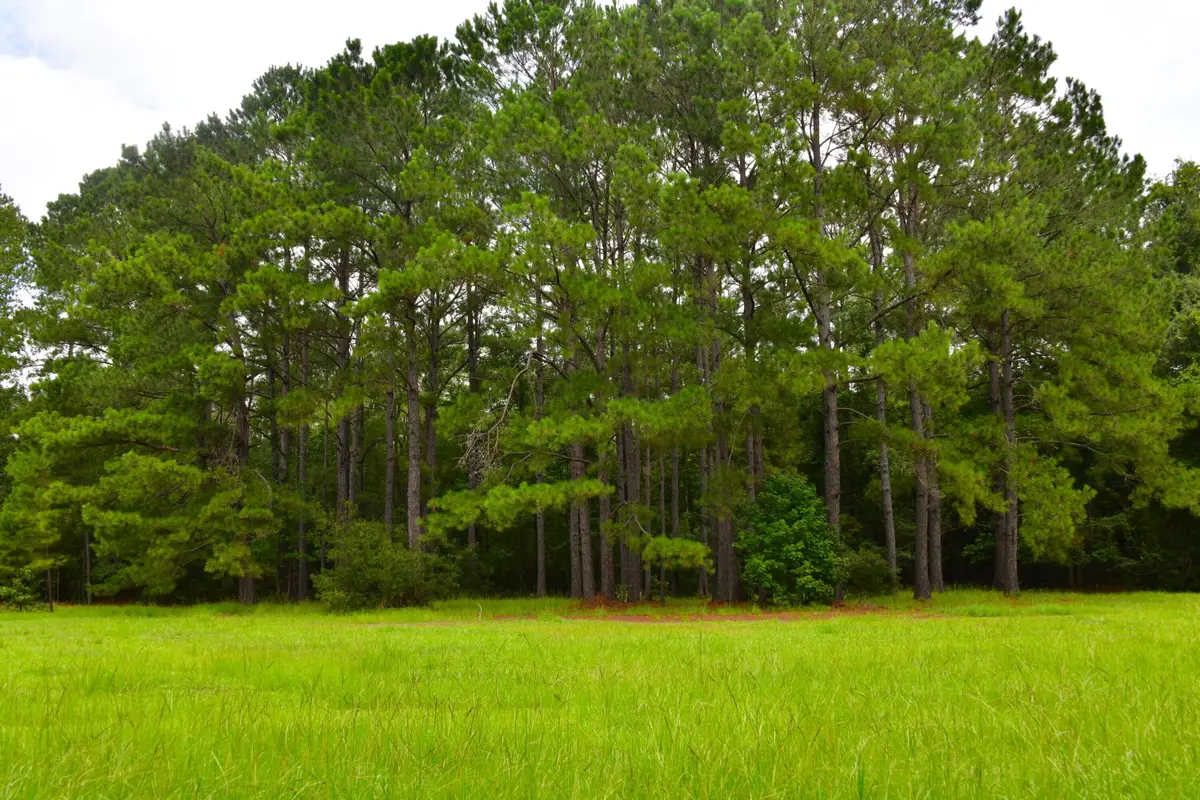 0 Palmetto Avenue, Saint Stephen, SC 29479 - #1