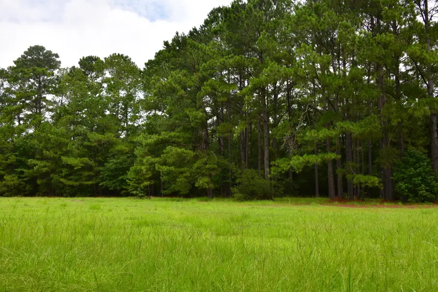 0 Palmetto Avenue, Saint Stephen, SC 29479 - #2