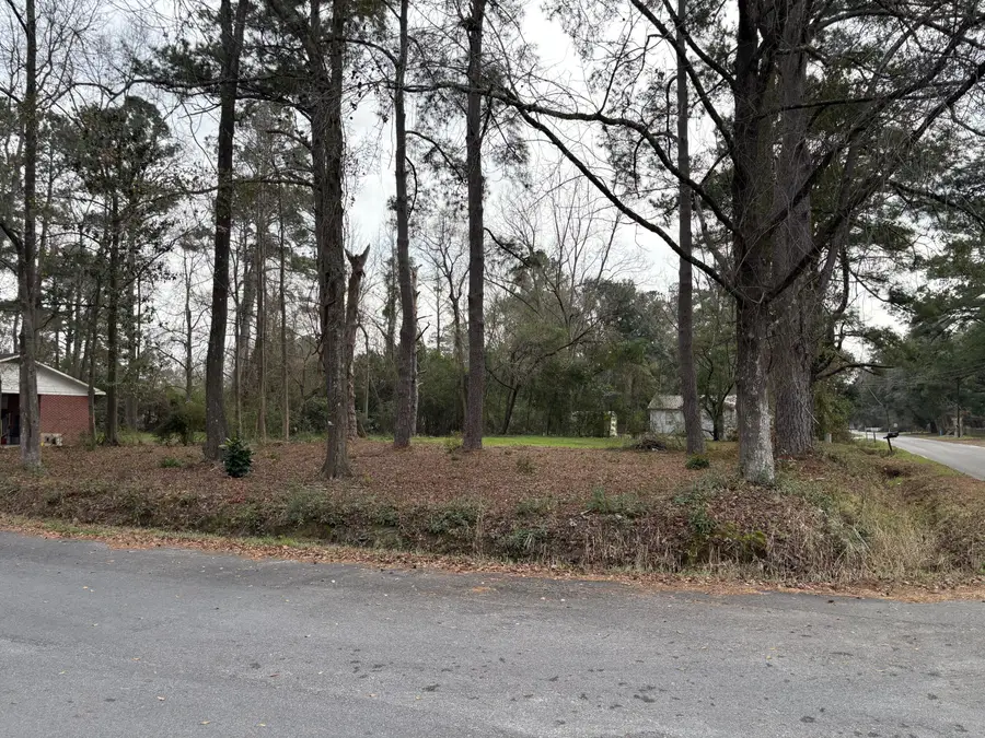 410 Poplar Street, Walterboro, SC 29488 - #3