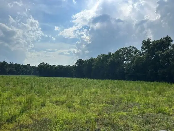 Lot 1 7 Mile Road, Harleyville, SC 29448