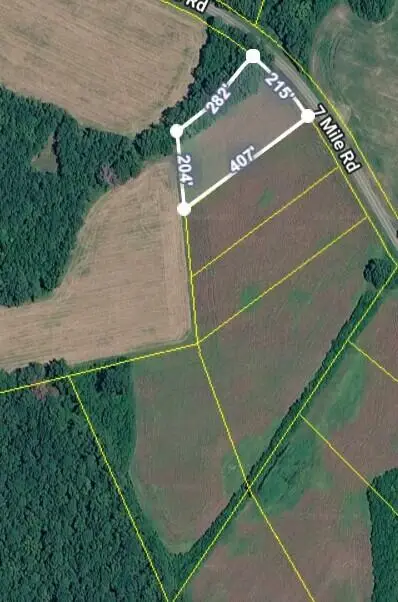 Lot 1 7 Mile Road, Harleyville, SC 29448 - #2