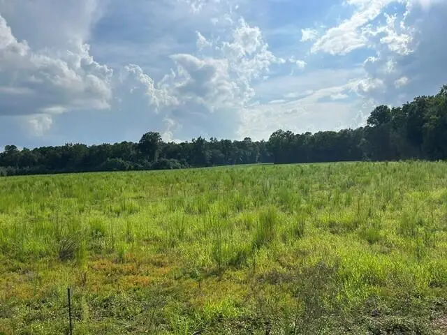 Lot 2 7 Mile Road, Harleyville, SC 29448 - #1