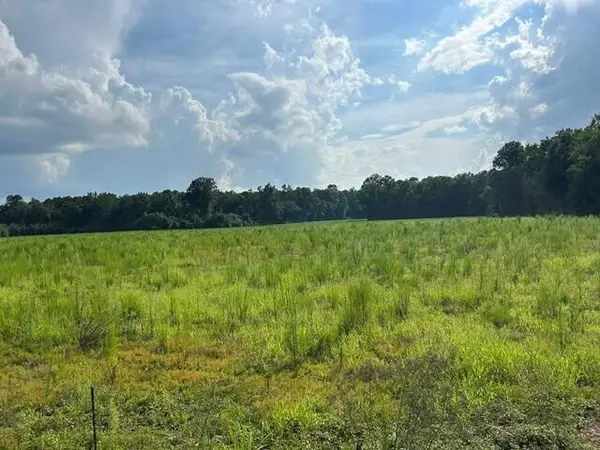 Lot 2 7 Mile Road, Harleyville, SC 29448