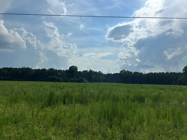 Lot 3 7 Mile Road, Harleyville, SC 29448 - #1
