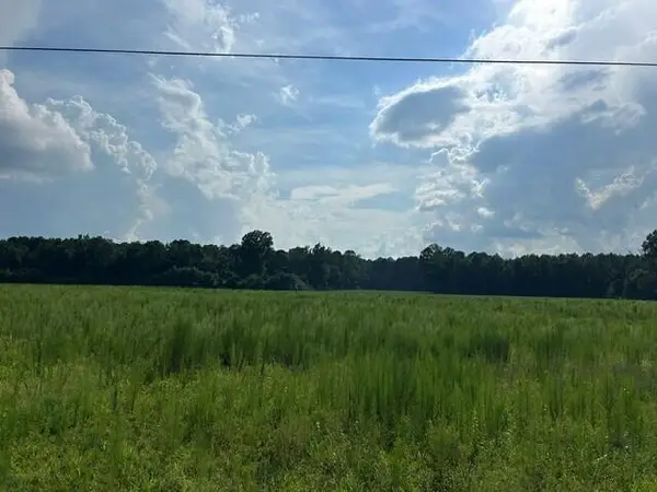 Lot 3 7 Mile Road, Harleyville, SC 29448