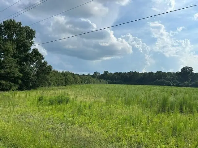 Lot 4 7 Mile Road, Harleyville, SC 29448 - #1