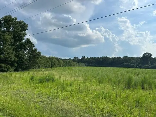 Lot 4 7 Mile Road, Harleyville, SC 29448