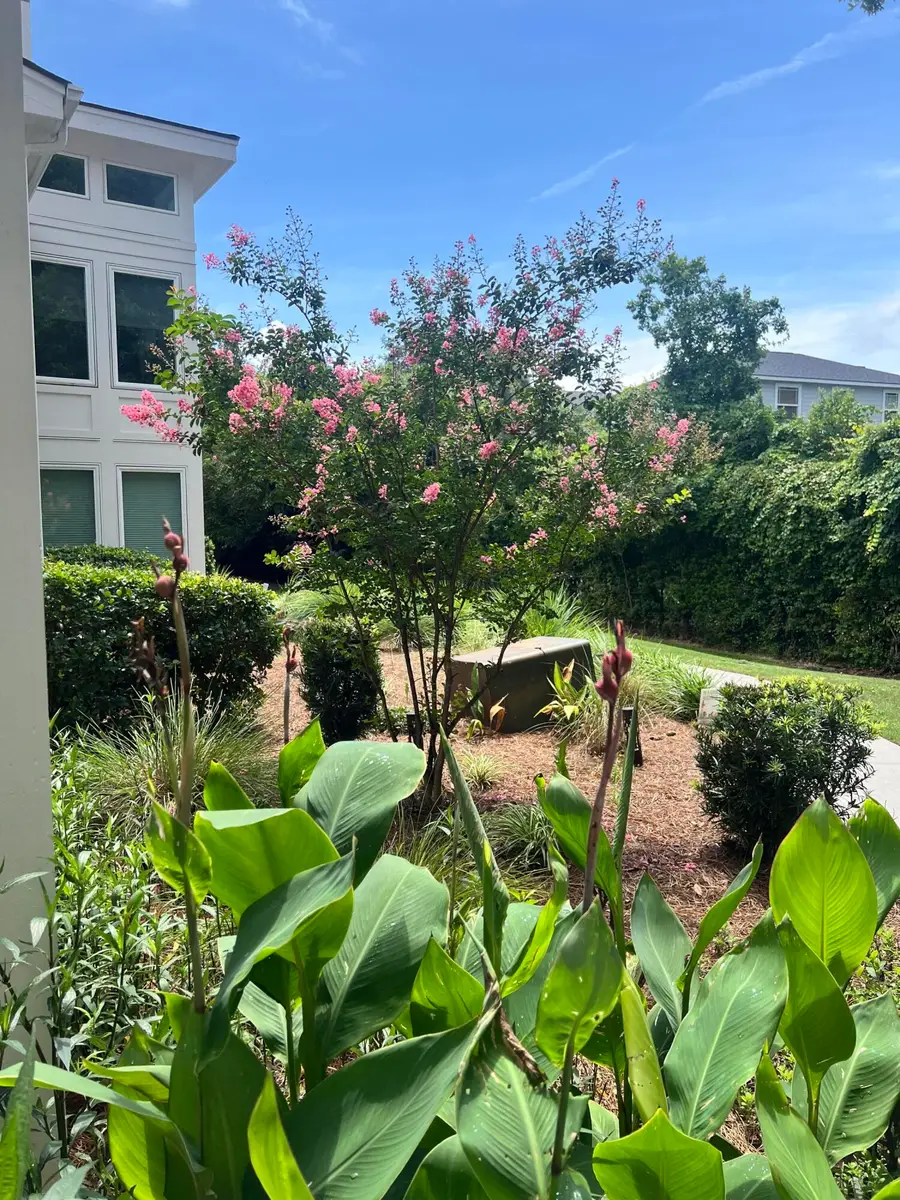 264 Alexandra Drive #Unit 10, Mount Pleasant, SC 29464 - #2