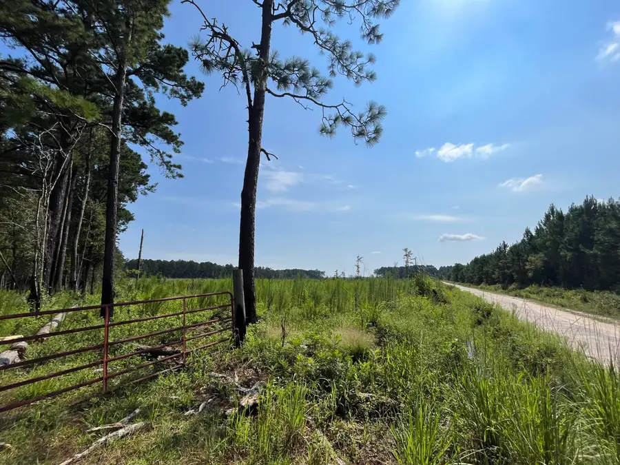 100 Mahogany Lane, Orangeburg, SC 29115 - #3