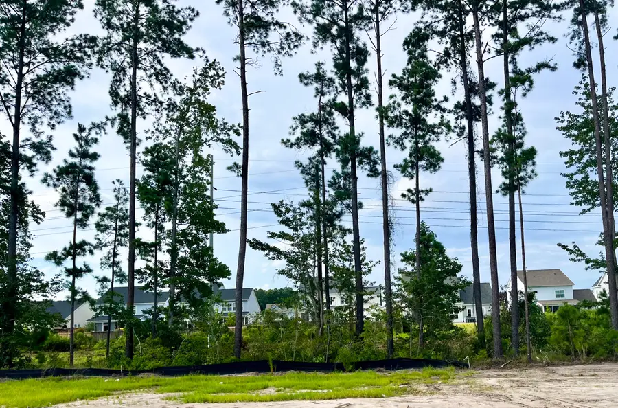 422 Brightside Trail, Summerville, SC 29486 - #3