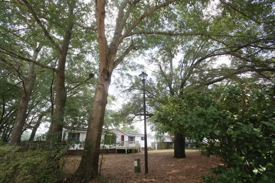 206 W Poplar Branch Drive, Moncks Corner, SC 29461 - #2