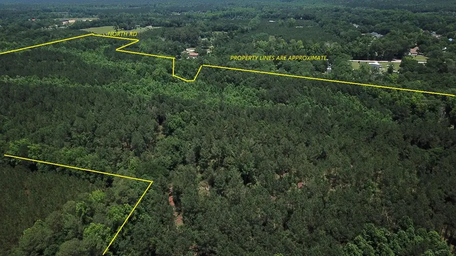 0 North Road, Orangeburg, SC 29118 - #2