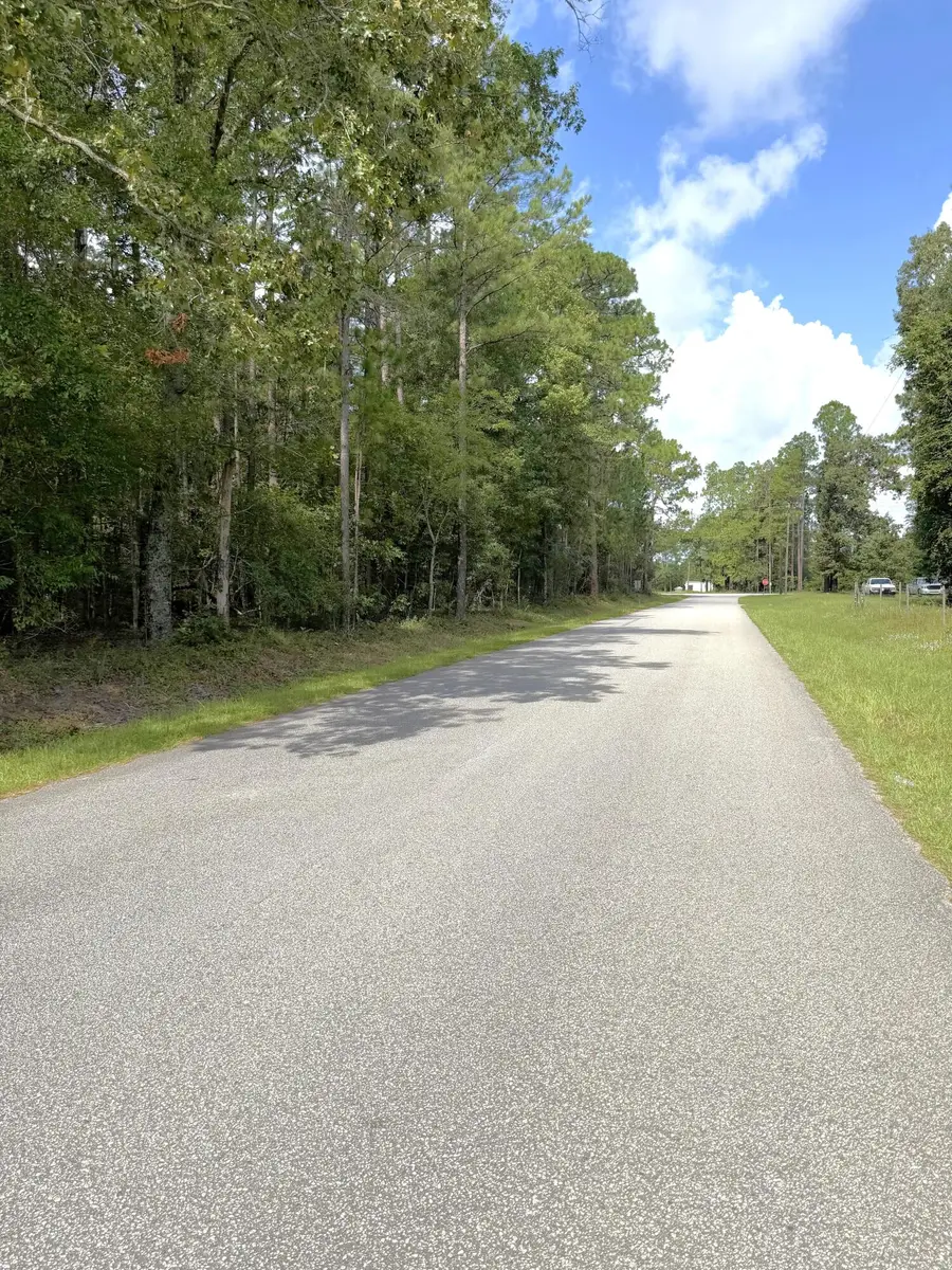 76 Honey Drive, Walterboro, SC 29488 - #2