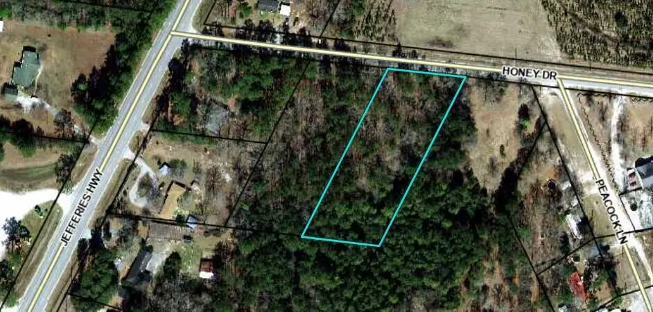 90 Honey Drive, Walterboro, SC 29488 - #1