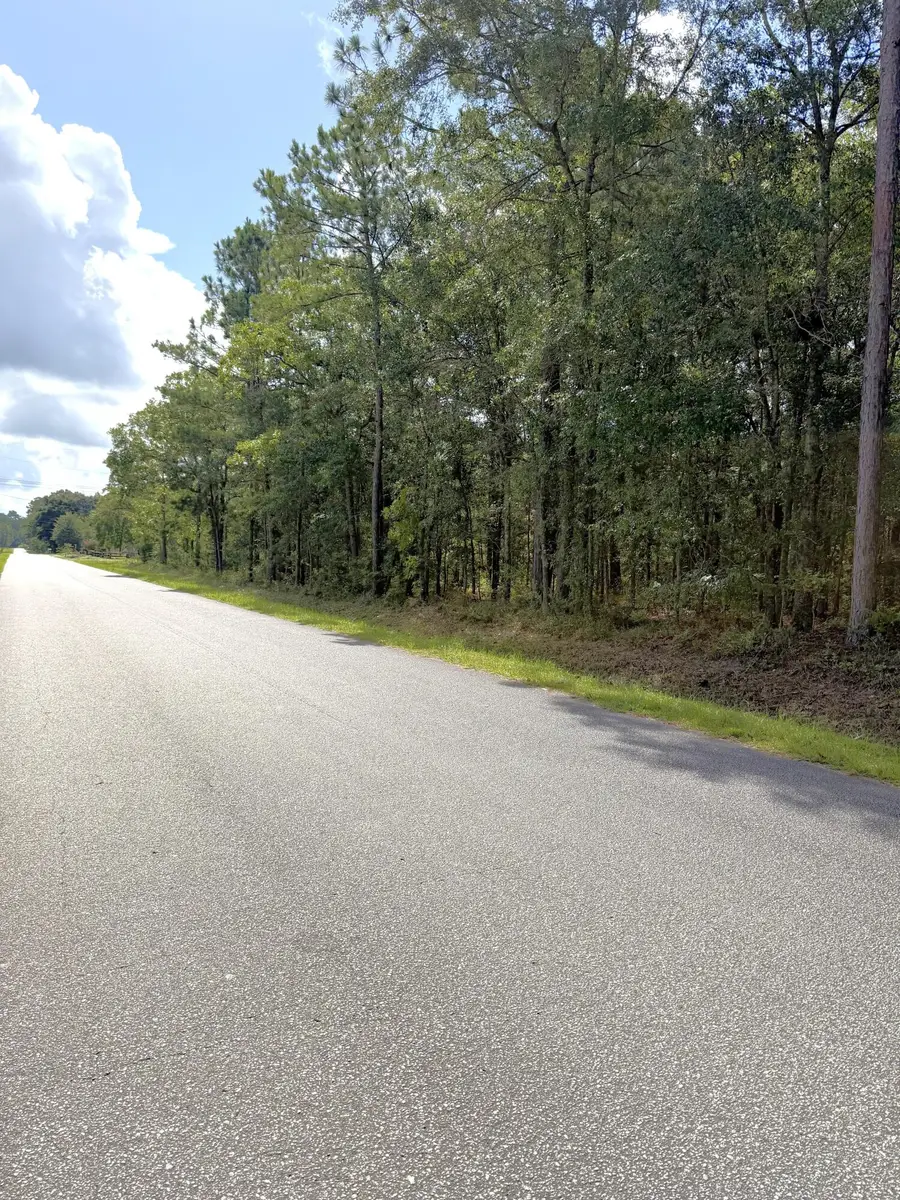 90 Honey Drive, Walterboro, SC 29488 - #2