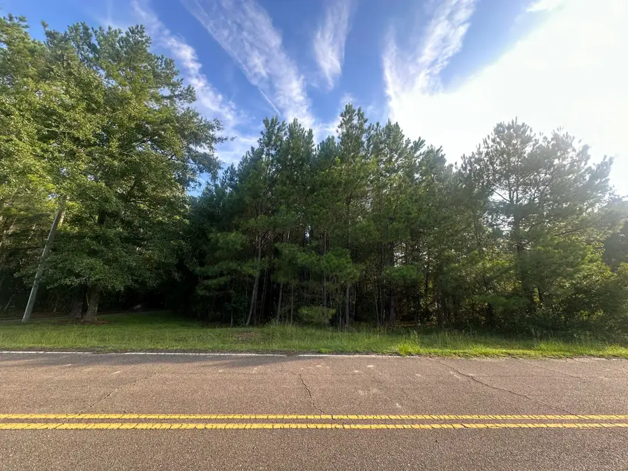 108 Blanchard Lane, Jamestown, SC 29453 - #2