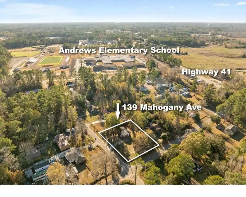 139 Mahogany Avenue, Andrews, SC 29510 - #2