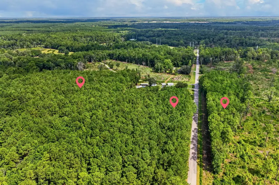 0 Peirce Road, Ridgeville, SC 29472 - #2