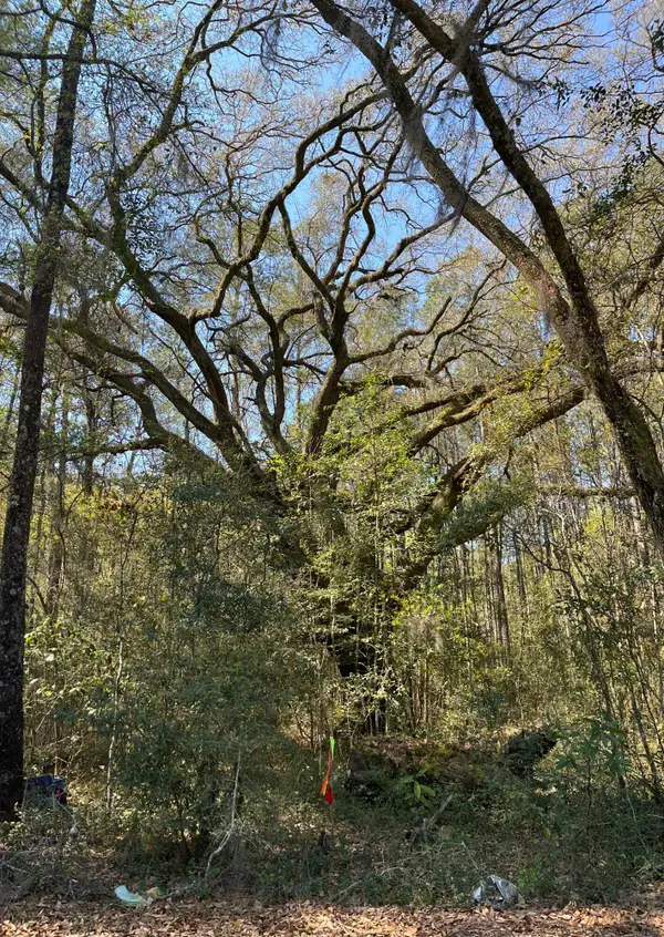 5331 Old Military Road #Lot 3, Adams Run, SC 29426