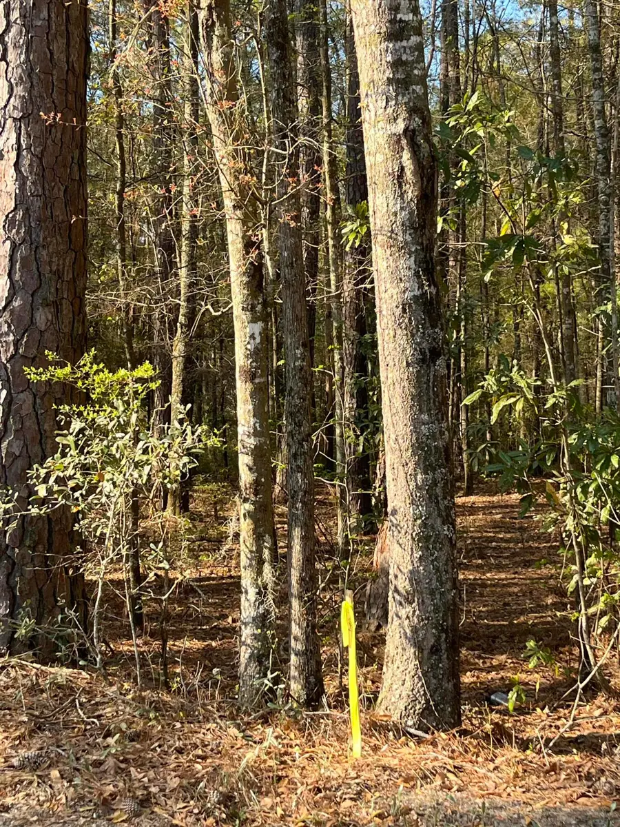5331 Old Military Road #Lot 3, Adams Run, SC 29426 - #2