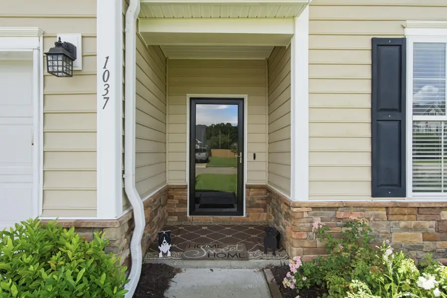 1037 Bridlewood Farms, Ridgeville, SC 29472 - #3