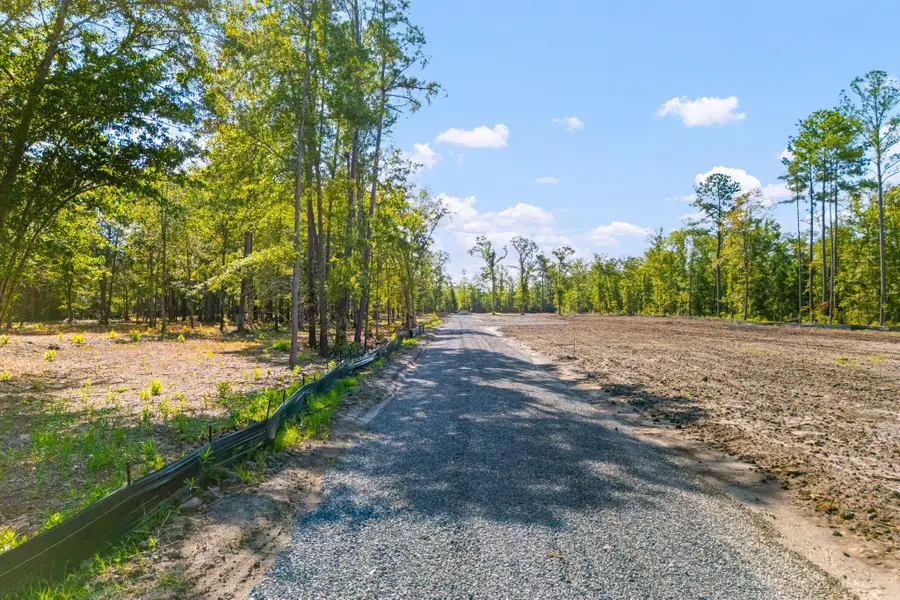 0 Raptor Trail #Lot 2, Ladson, SC 29456 - #3