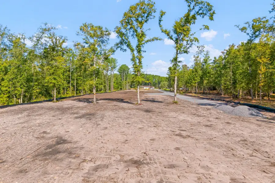 0 Raptor Trail #Lot 3, Ladson, SC 29456 - #3