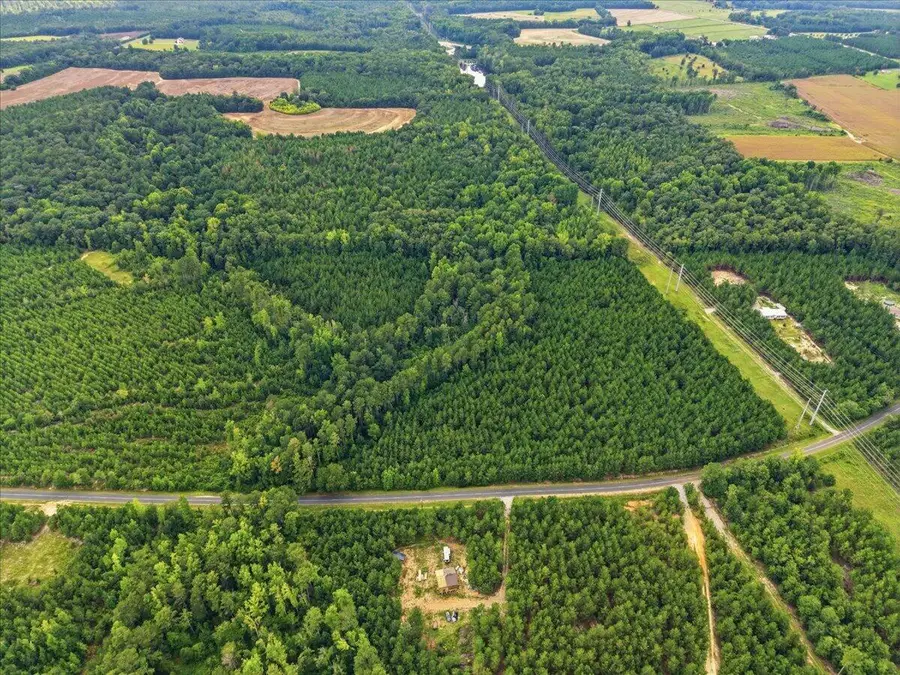Lot 2 Catalina Boulevard, Swansea, SC 29160 - #2