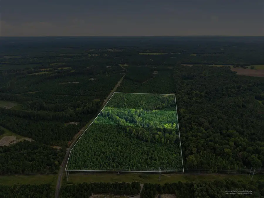Lot 2 Catalina Boulevard, Swansea, SC 29160 - #3