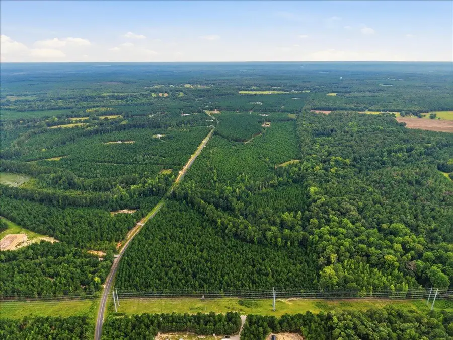 Lot 3 Catalina Boulevard, Swansea, SC 29160 - #2