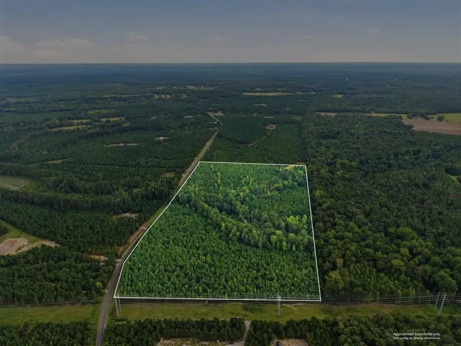 Lot 3 Catalina Boulevard, Swansea, SC 29160 - #3