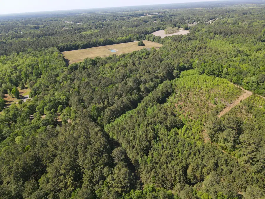 1 Cottage Lane, Saint Stephen, SC 29479 - #3