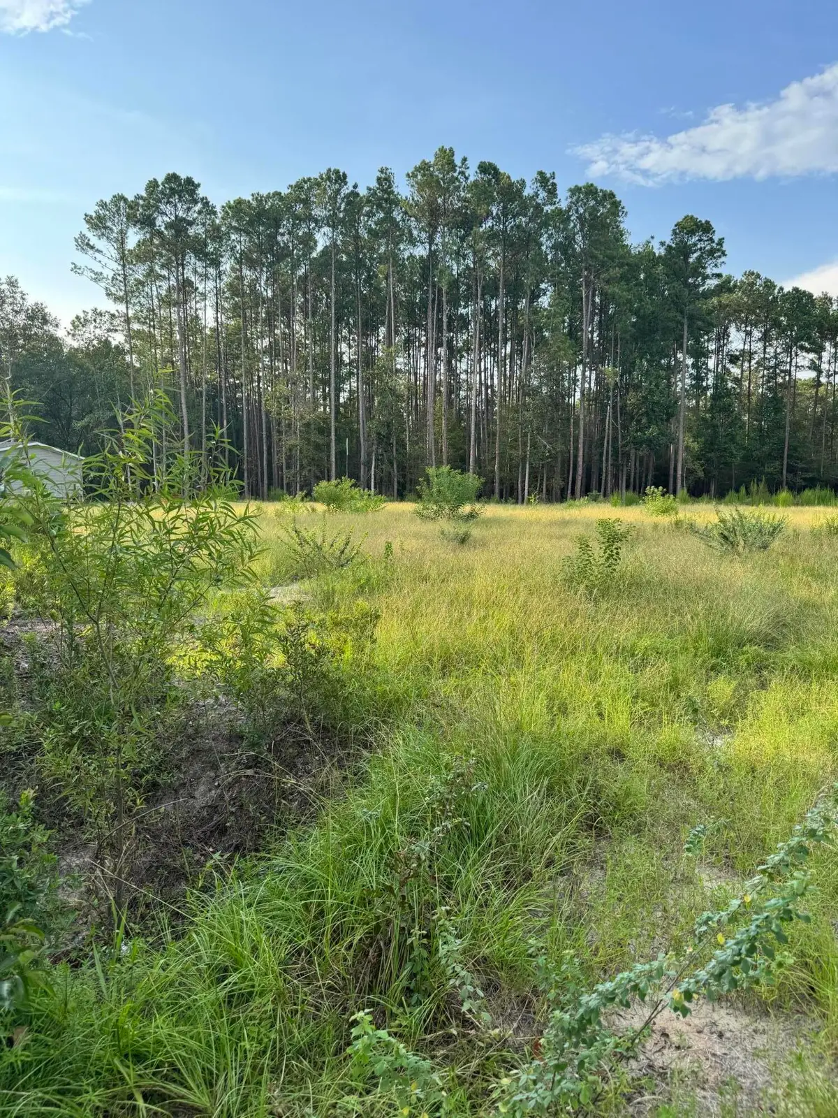 000 Saturn, Walterboro, SC 29488 - #1