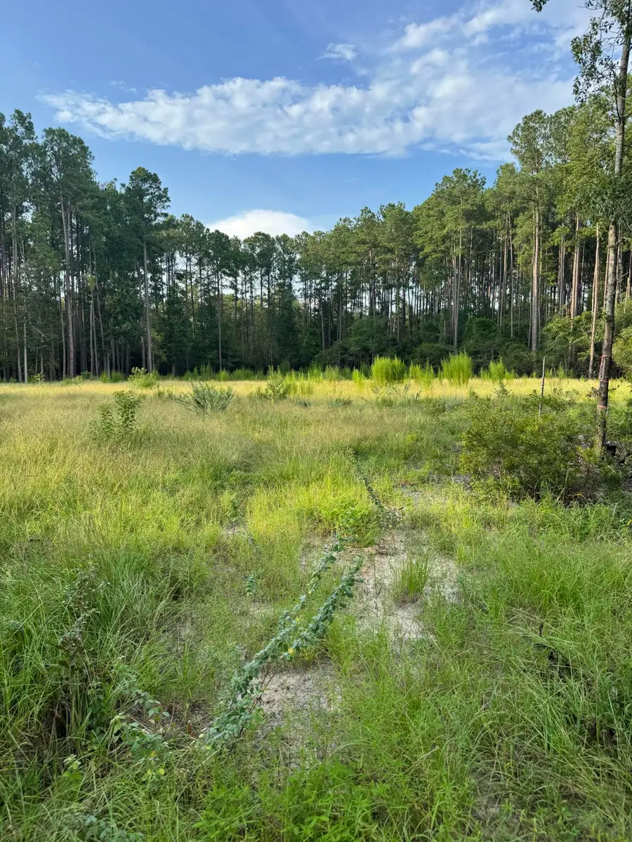 000 Saturn, Walterboro, SC 29488 - #2
