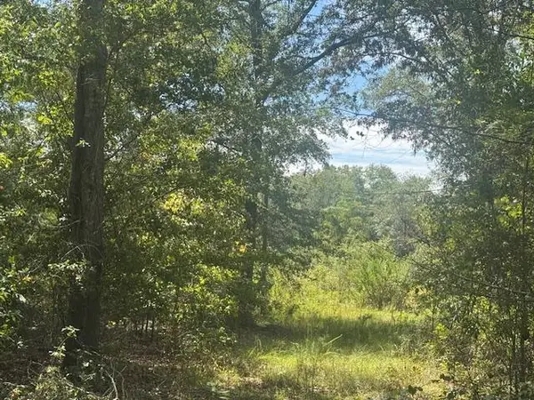 1651, 1571 Creek Mill Road, North, SC 29112