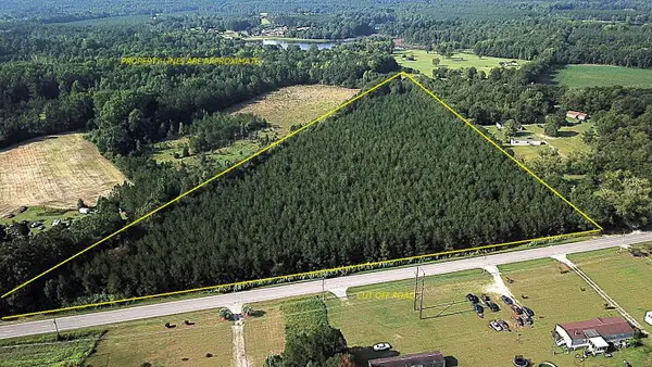 00 Cut Off Road, Orangeburg, SC 29115