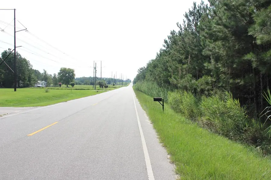 00 Cut Off Road, Orangeburg, SC 29115 - #2