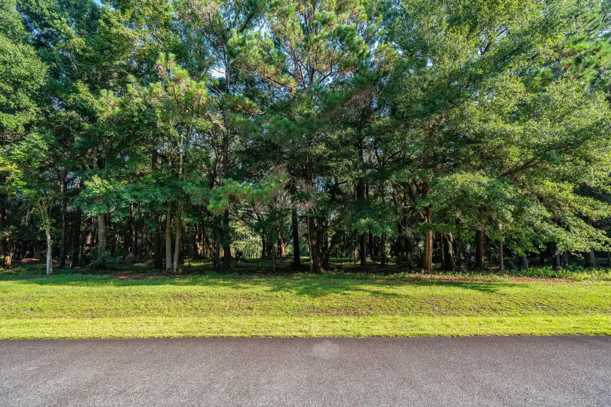 4132 Gnarled Oaks Lane #54, Johns Island, SC 29455 - #1
