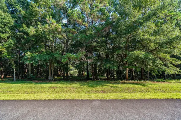 4132 Gnarled Oaks Lane #54, Johns Island, SC 29455