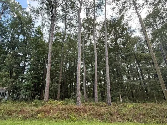 6129 Smith Road, Ravenel, SC 29470 - #1