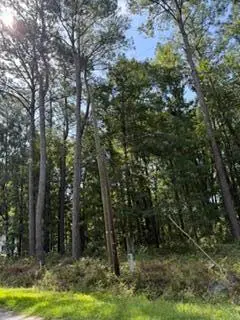 6129 Smith Road, Ravenel, SC 29470 - #2