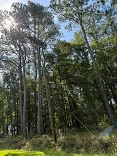 6129 Smith Road, Ravenel, SC 29470 - #3