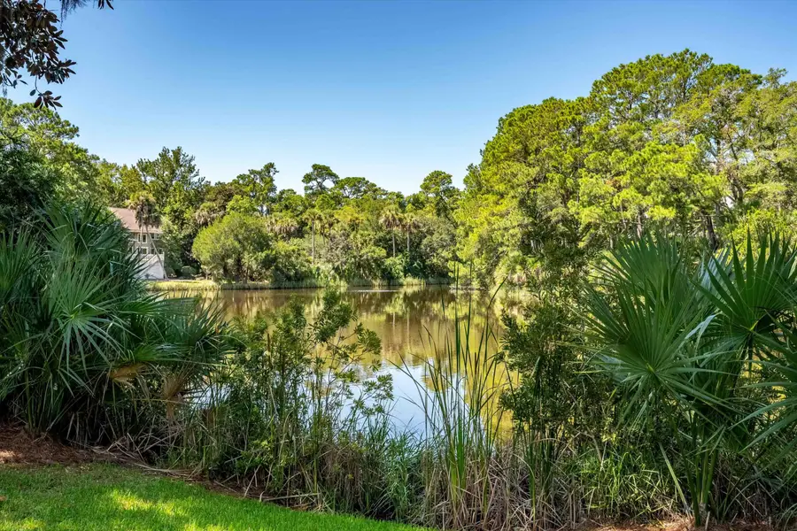 166 Marsh Island Drive, Kiawah Island, SC 29455 - #2