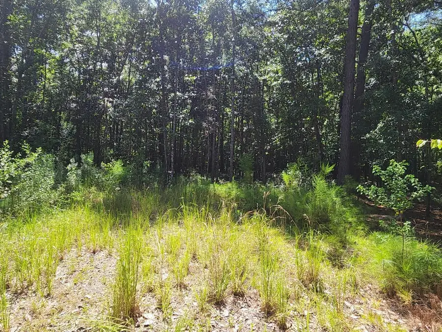 5863 Miley Hill Road, Ravenel, SC 29470 - #2