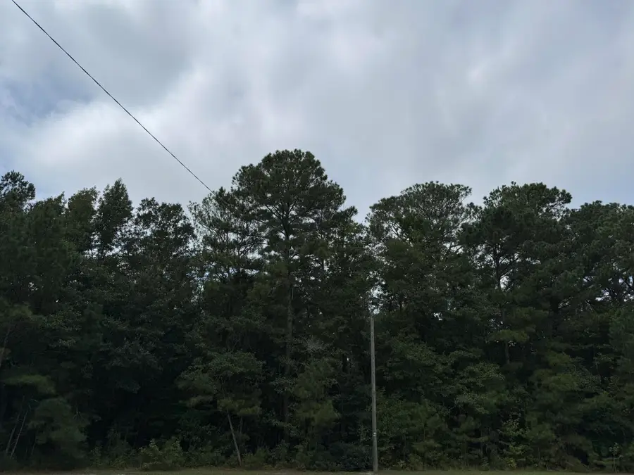 0 Charleston Highway, Orangeburg, SC 29115 - #2