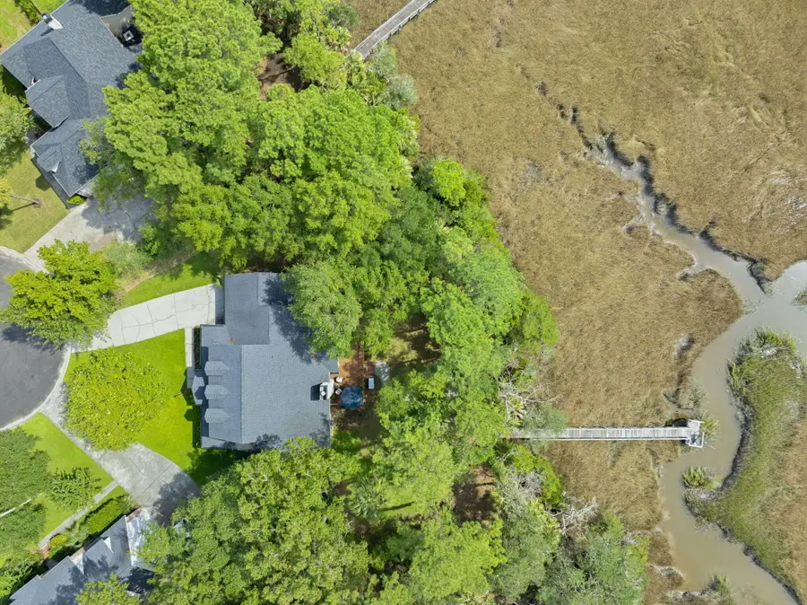 1929 Dunes Mill Way, Mount Pleasant, SC 29466 - #2