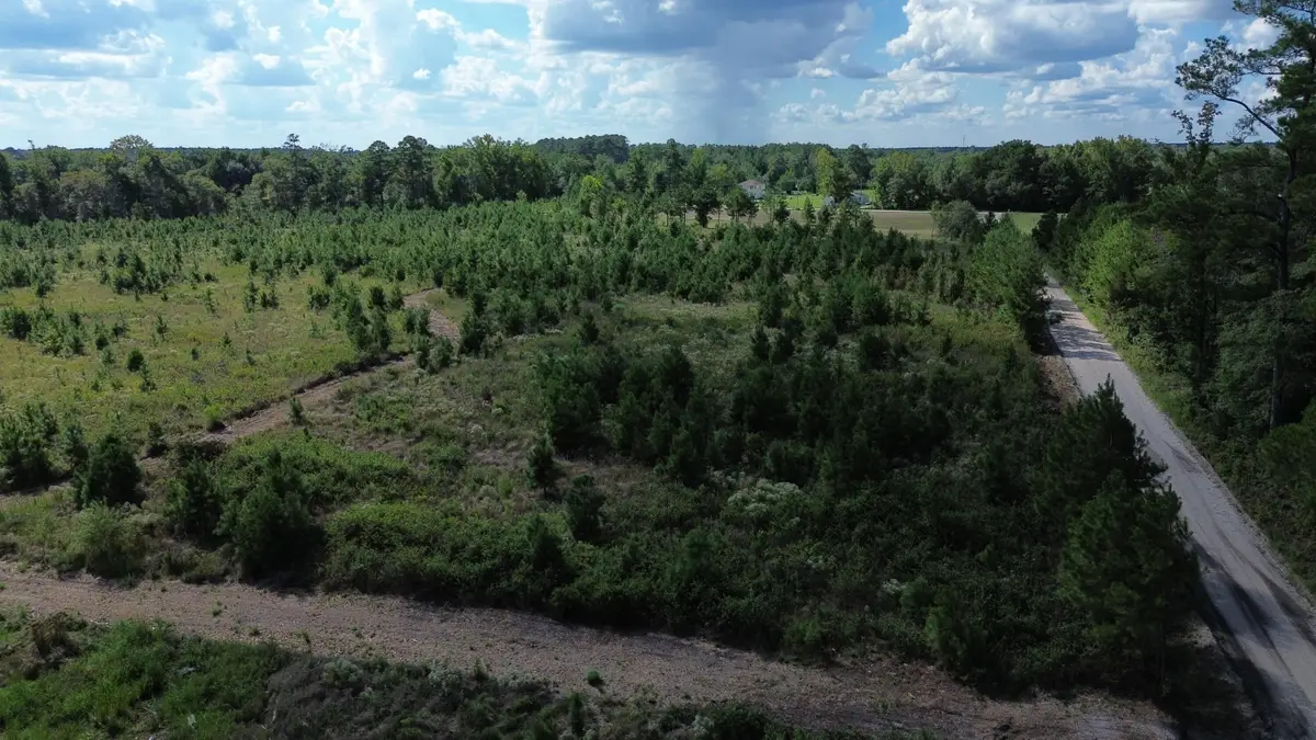 1 Bethel Forest Road, Rowesville, SC 29133 - #1
