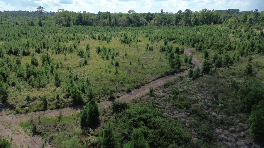 1 Bethel Forest Road, Rowesville, SC 29133 - #2