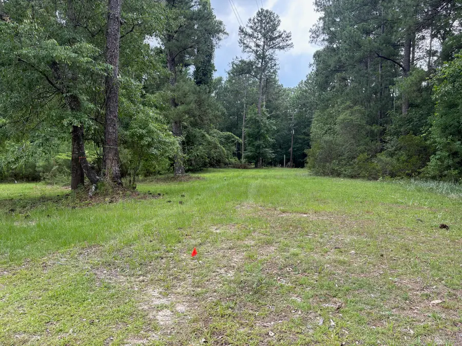 0 Aaron Lane, Summerville, SC 29485 - #2