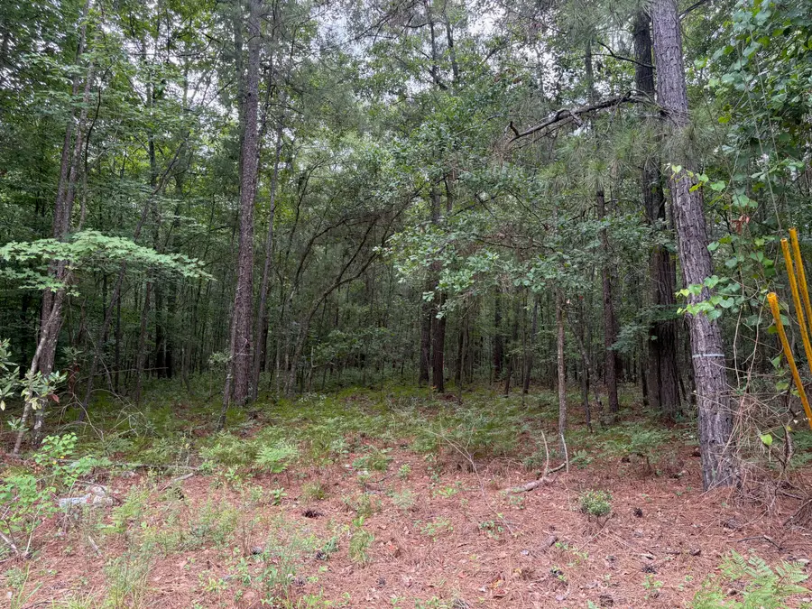 0 Aaron Lane, Summerville, SC 29485 - #3
